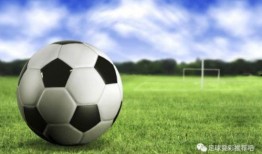 葡萄牙足球爆料视频最新,独家爆料揭示球队最新动态